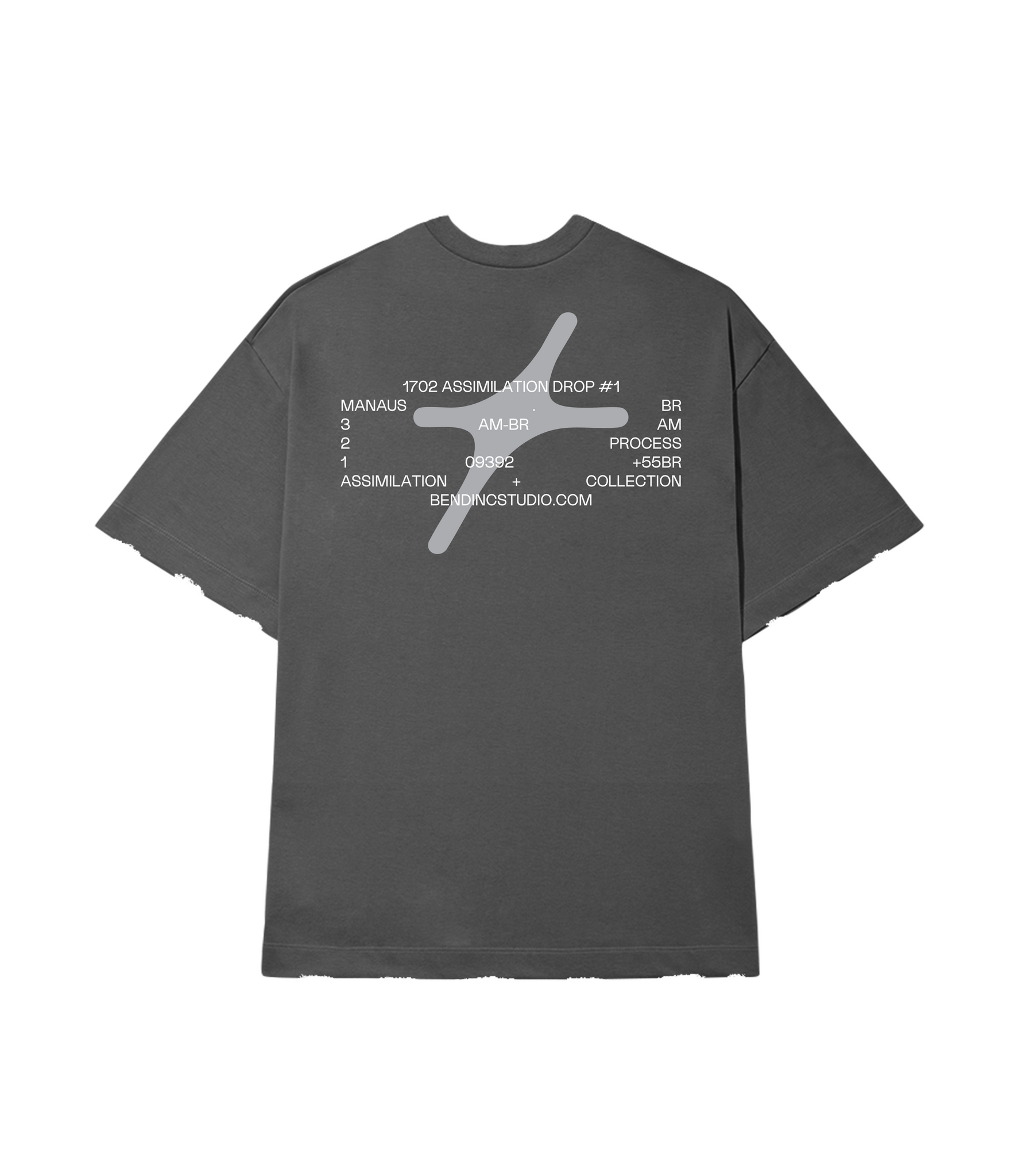 DISTRESSED T-SHIRT #1